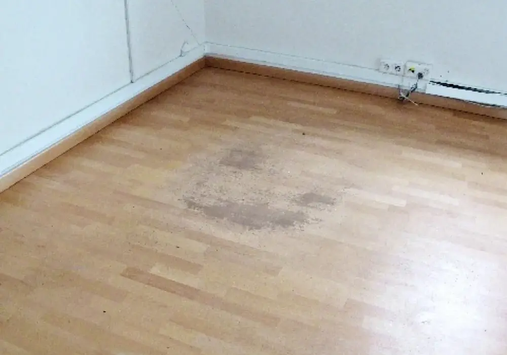 Jak usunąć plamy z paneli podłogowych - skuteczne metody i porady