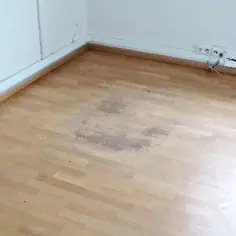 Jak usunąć plamy z paneli podłogowych - skuteczne metody i porady